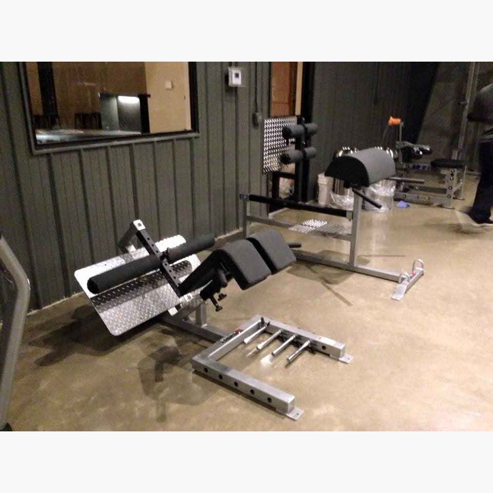 Elitefts Professional 45 Degree Back Raise