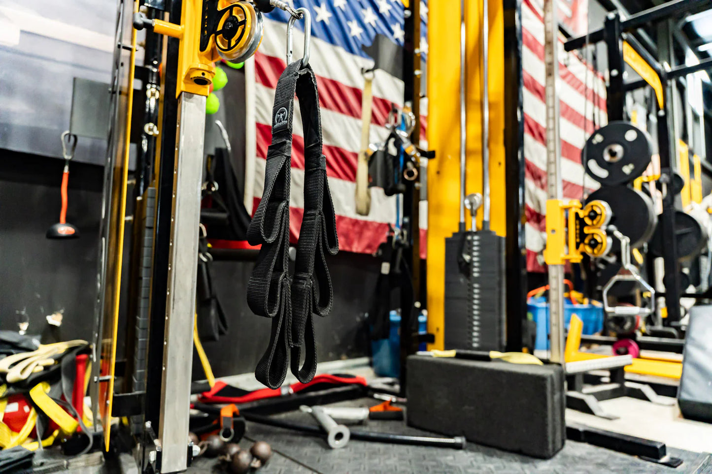 elitefts 3 Loop Tricep Strap