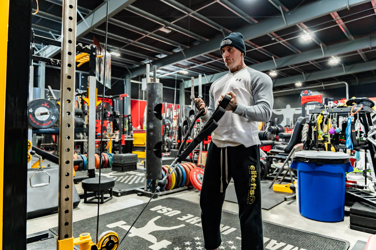 elitefts 3 Loop Tricep Strap