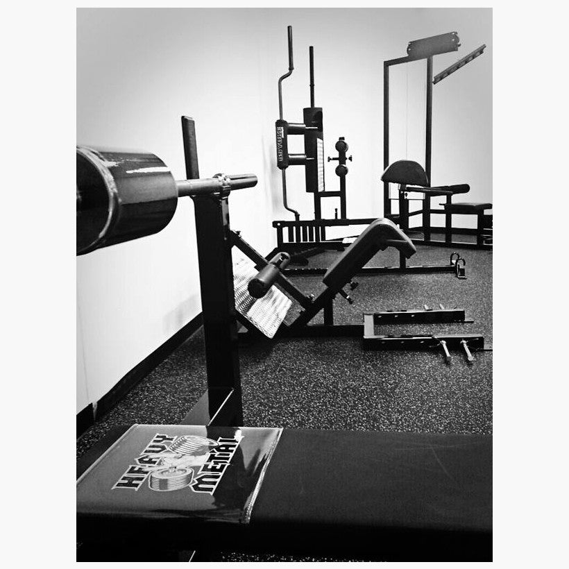 Elitefts Professional 45 Degree Back Raise