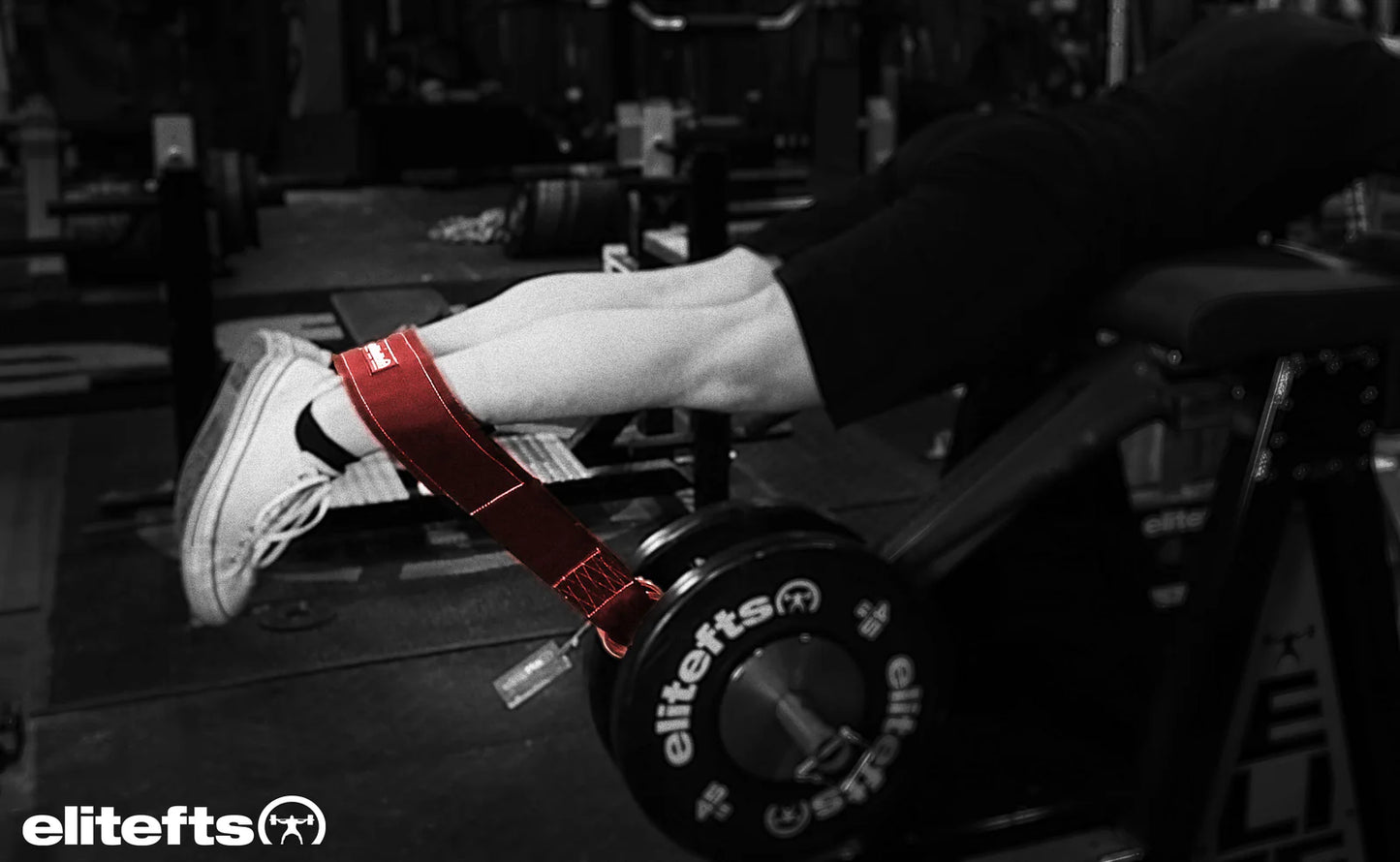 elitefts Nylon Ring Belt