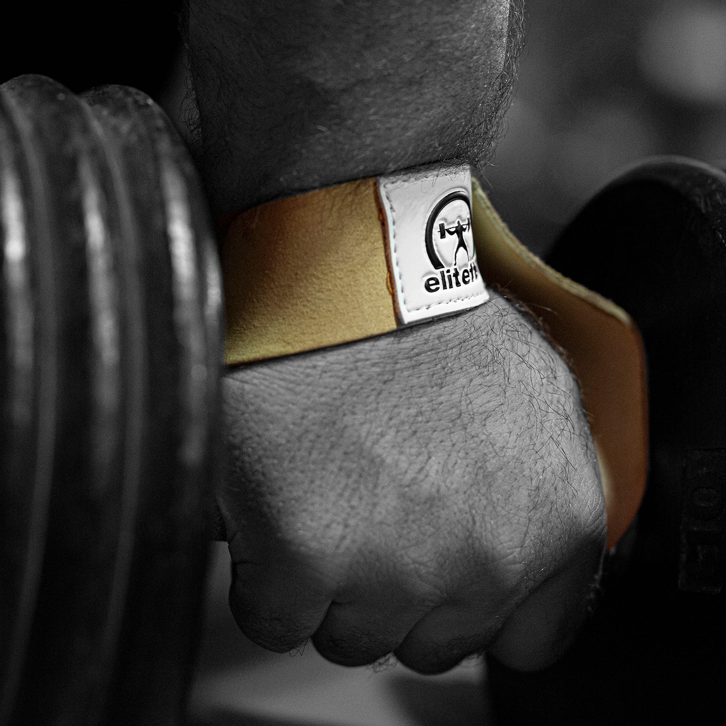 elitefts Leather Wrist Straps 1.5