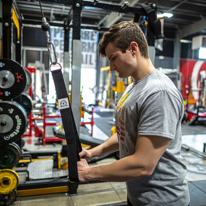 elitefts Nylon Tricep Strap