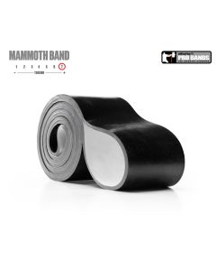 elitefts™ Mammoth Band